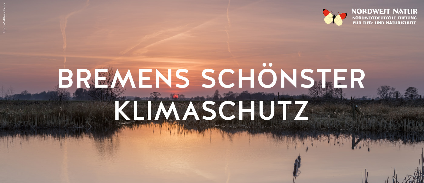 Bremens schönster Klimaschutz